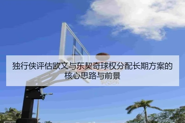 独行侠评估欧文与东契奇球权分配长期方案的核心思路与前景